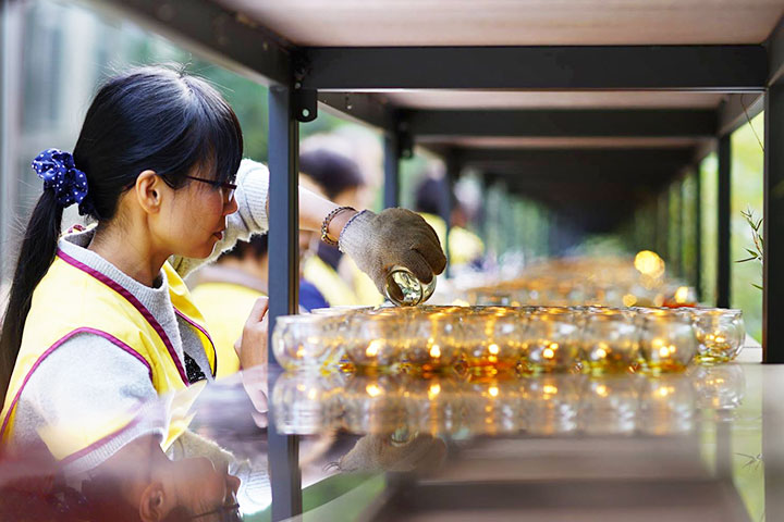 四宮格組圖：學員在教室研討、在社區中親切服務長者，以及在活動中承擔義工時，展現出喜悅熱情和恭敬虔誠的身影