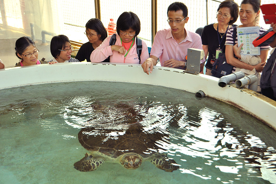 海洋奧斯卡獎項，肯定生態保育努力