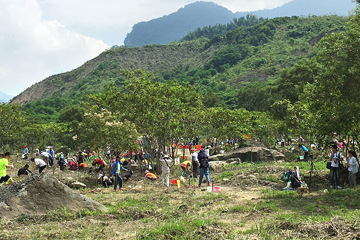 小林村遺址種樹，慈心用行動減緩極端氣候