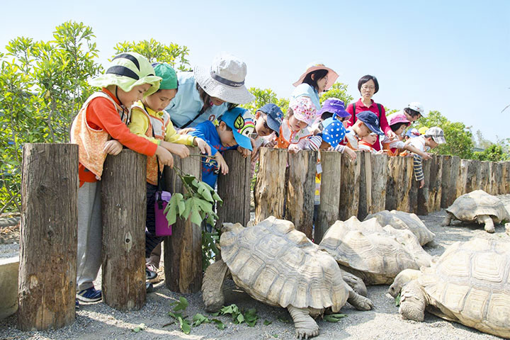 自然又溫馨的臺南護生教育園區，讓小動物安心生活