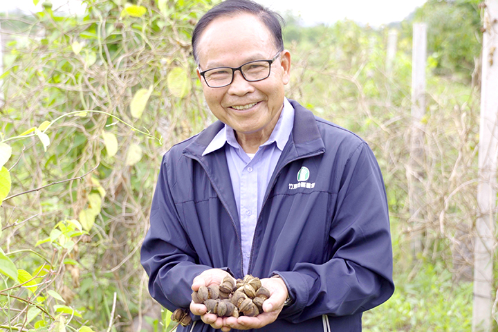 竹東農友彭沐琛懷著對家鄉土地的熱愛，與里仁、金椿茶油工坊一起參與檳榔廢園轉作印加果
