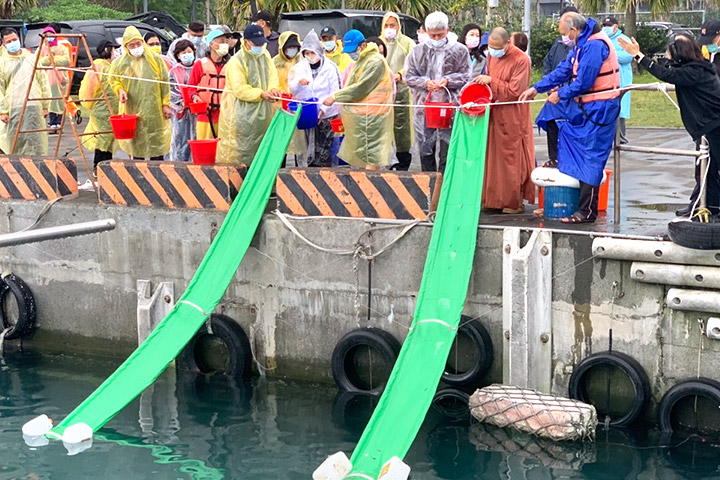 福智佛教基金會關愛生命，以合法放流復育海洋生物多樣性