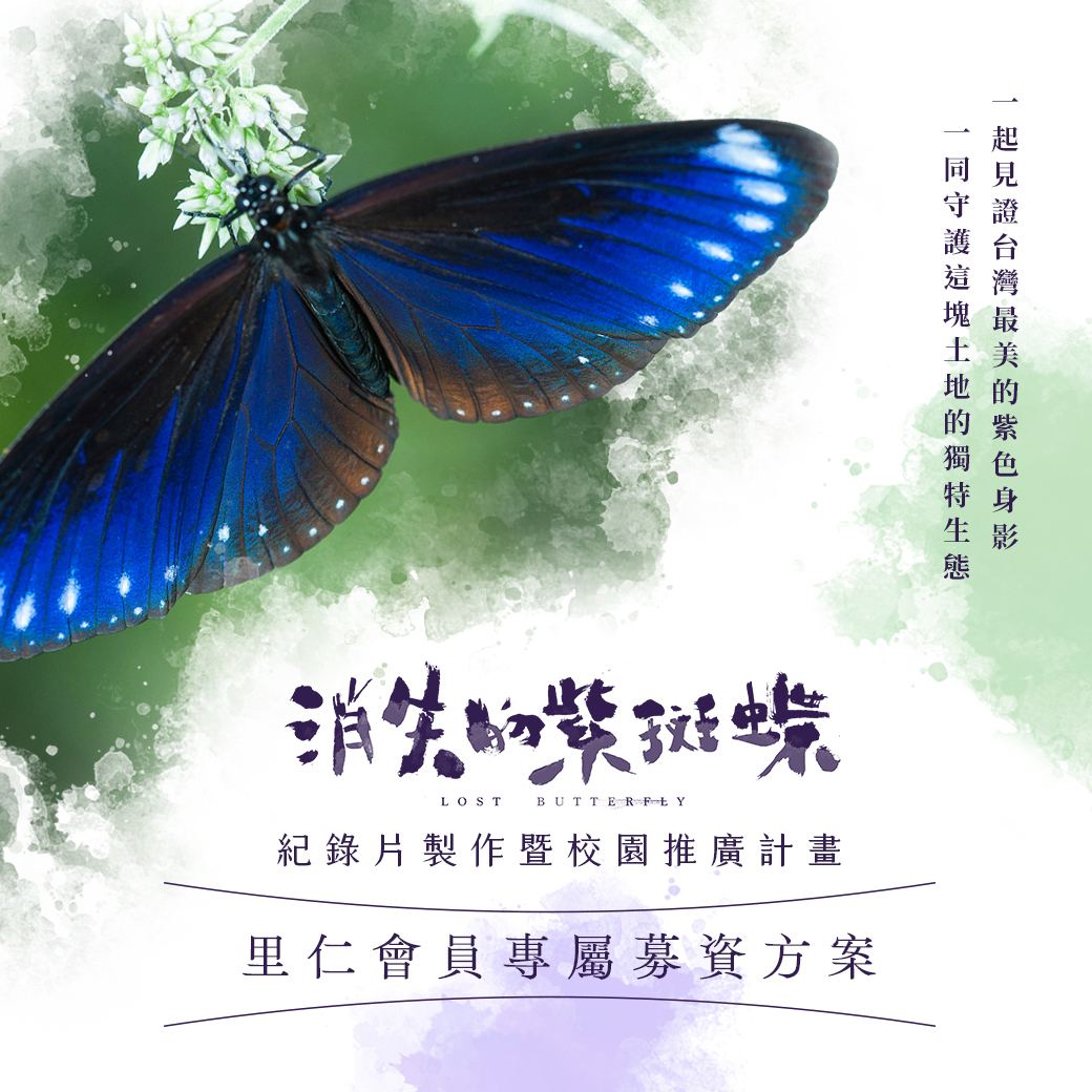 守護紫斑蝶的珍貴影像！邀您支持「消失的紫斑蝶」紀錄片募資