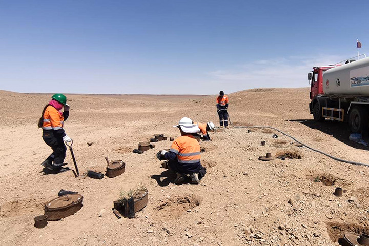 慈心挑戰蒙古戈壁沙漠種樹，築起減緩沙塵暴的希望綠牆！