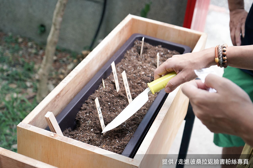 歡迎參觀「走進彼桑拉返」布農里山特展，看見家庭菜園的永續意義