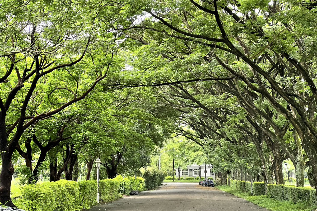 記錄生態校園之美！福智高中學生創作短片，獲「小網紅大夢想 」優選