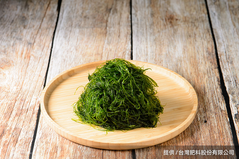 里仁新品「滸苔蘇打餅」實踐山海永續，每一口都友善環境！