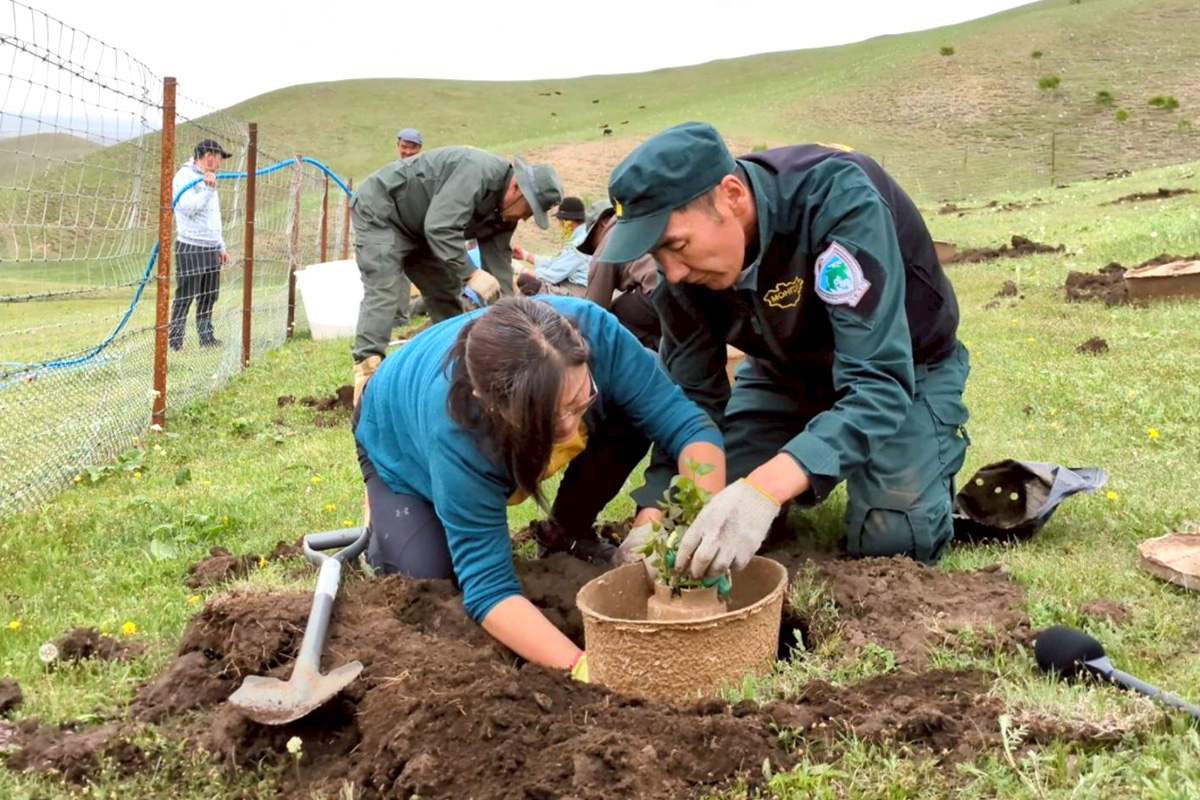 種樹守護世界遺產，臺蒙攜手恢復鄂爾渾河谷國家公園森林！
