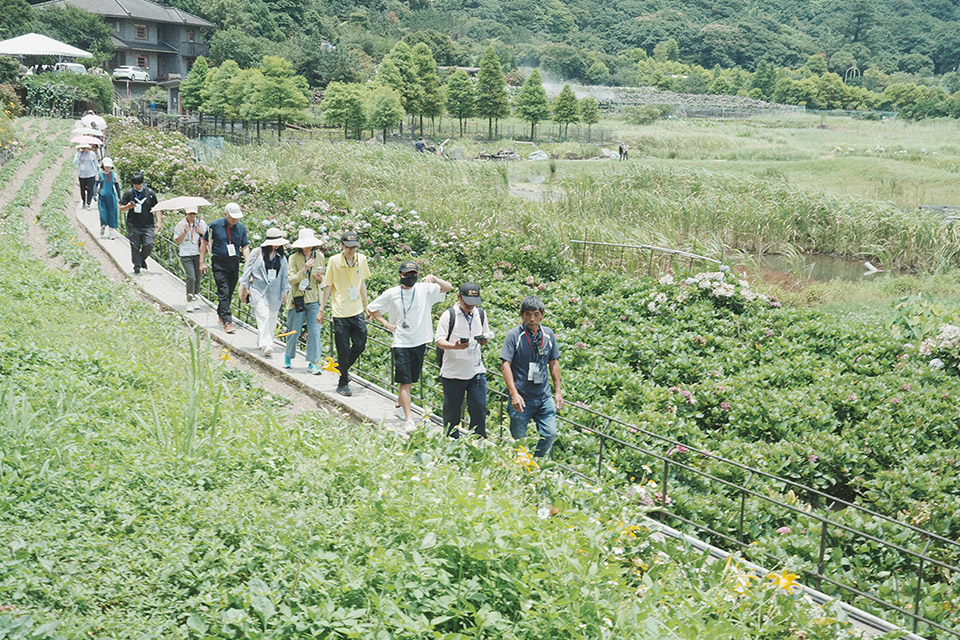 讓竹子湖從賞花勝地到保育基地,陽明山跨域協力,開創共榮新局