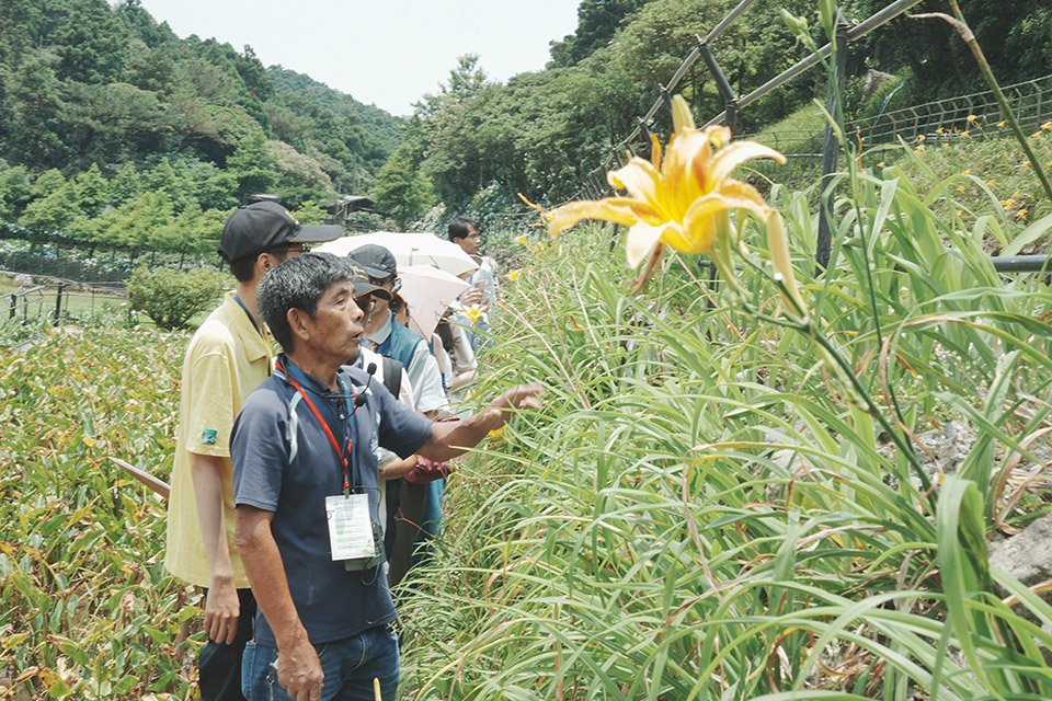 讓竹子湖從賞花勝地到保育基地，陽明山跨域協力，開創共榮新局