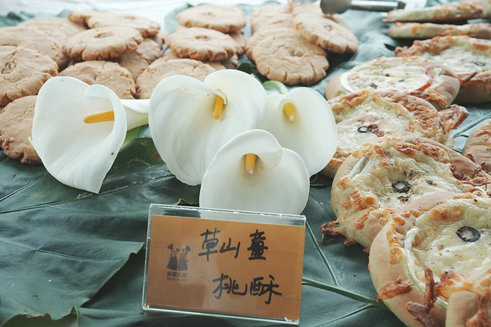 讓竹子湖從賞花勝地到保育基地，陽明山跨域協力，開創共榮新局