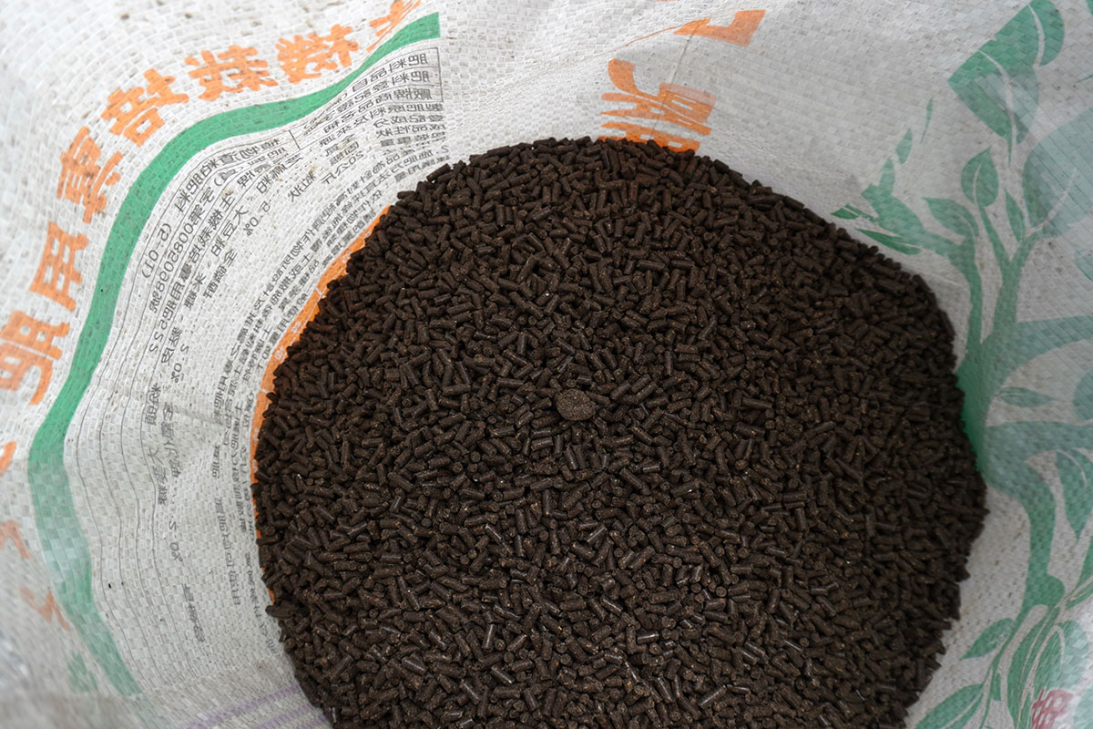 慈心攜手學術專業，東亞首例「增強岩石風化」碳匯試驗有成