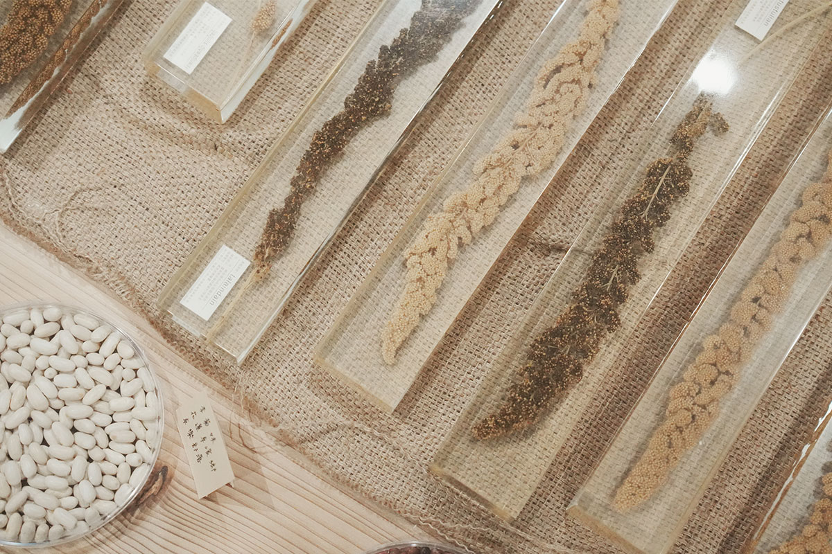 慈心「小米狂熱」特展在里仁誠食市集，歡迎品嚐部落傳統糧食！
