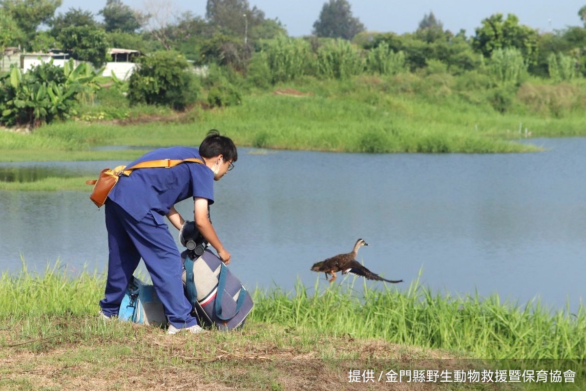 關注離島生態,里仁攜手金門 NGO「守護野生動物回家」!