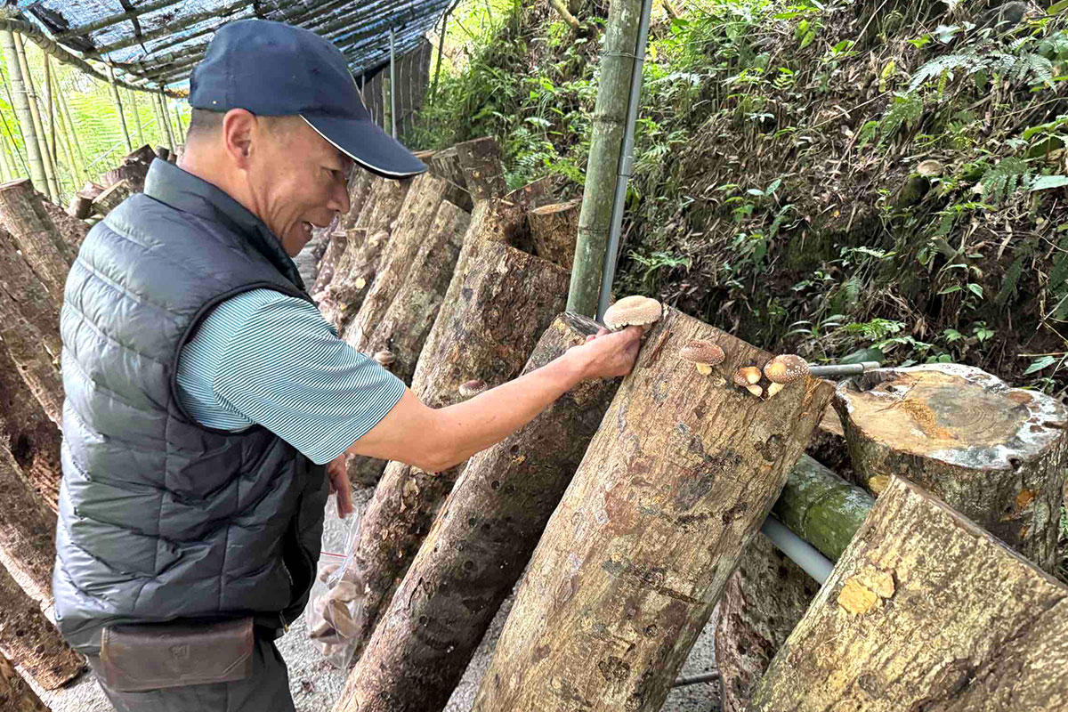 林業署委託慈心執行「林下經濟」產品驗證規範，實踐農林共生