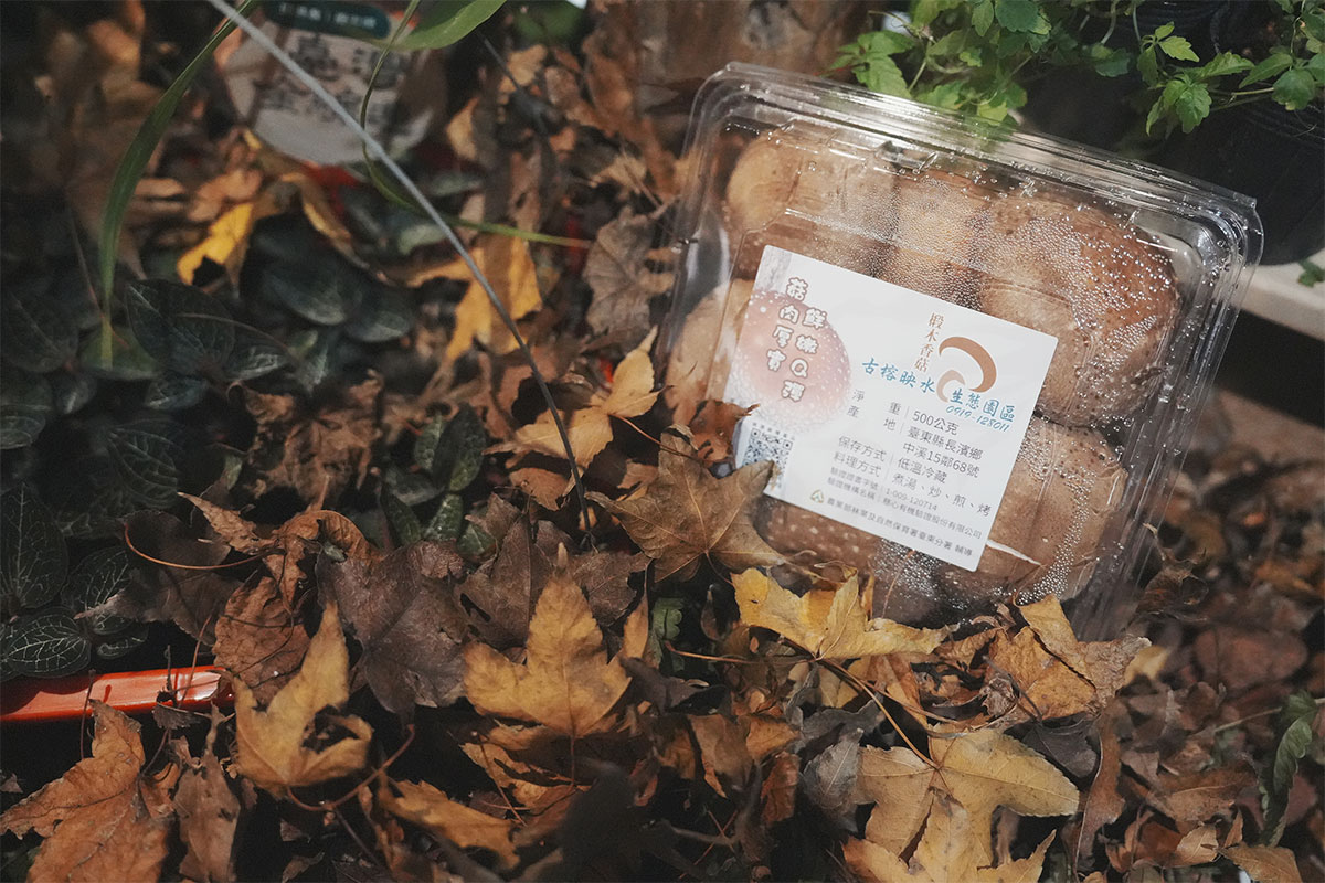 林業署委託慈心執行「林下經濟」產品驗證規範,實踐農林共生