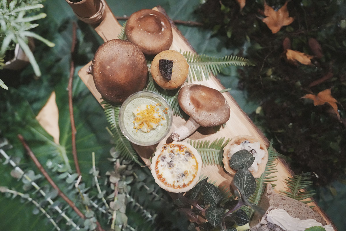 林業署委託慈心執行「林下經濟」產品驗證規範,實踐農林共生