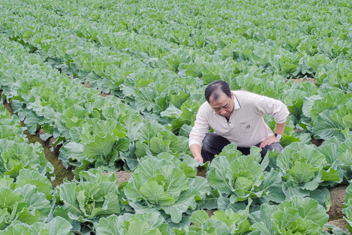2026 里仁「蔬食年菜」真食珍選,守住新年團圓的幸福與安心!