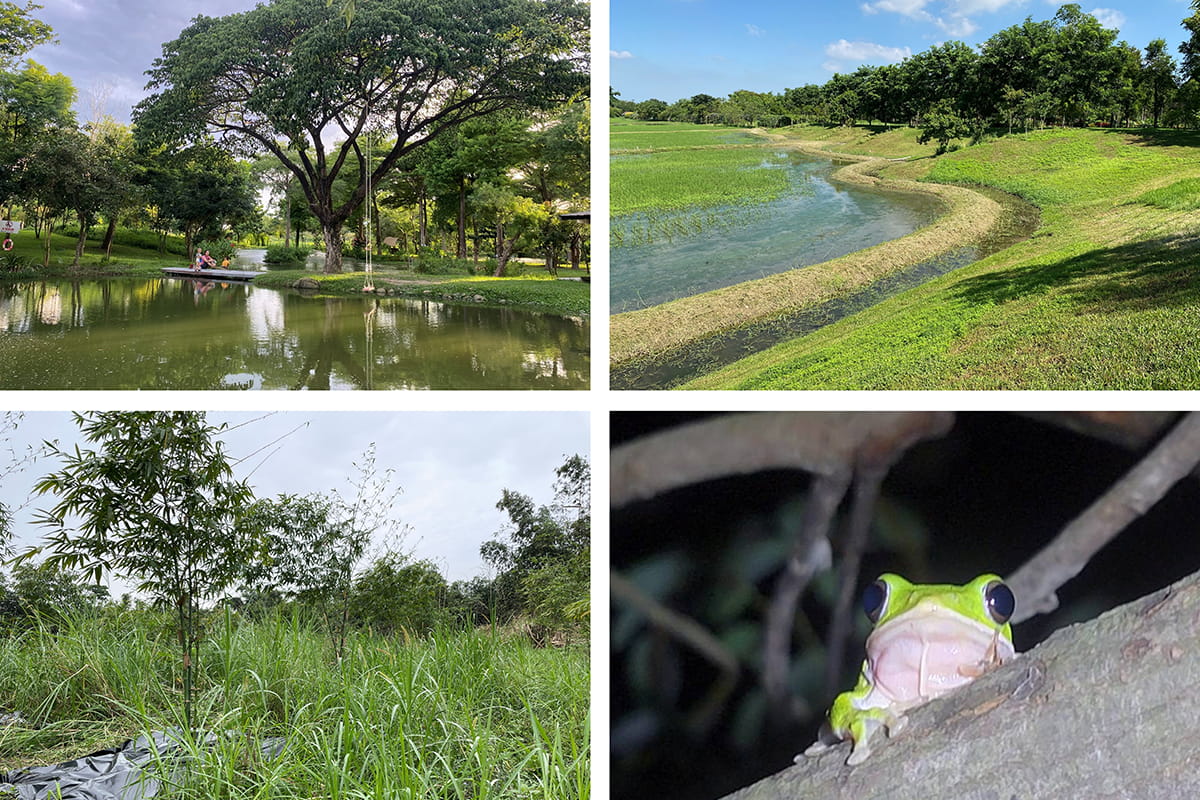 慈心守護生物多樣性，兩場域獲林業保育署「保育共生地」認證 