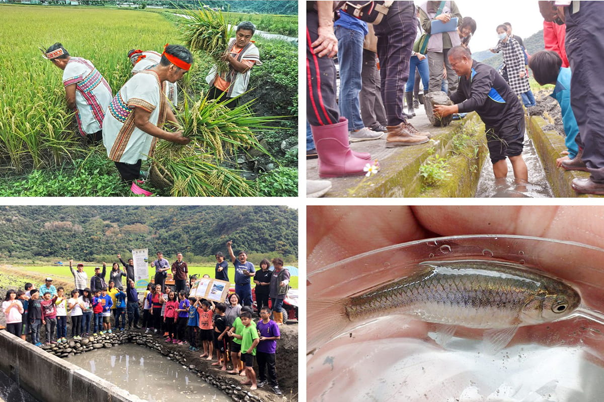 慈心守護生物多樣性，兩場域獲林業保育署「保育共生地」認證 