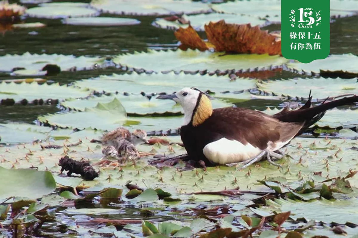 慈心赴南美洲厄瓜多參與 IPSI-10 全球大會，分享綠色保育經驗！ 
