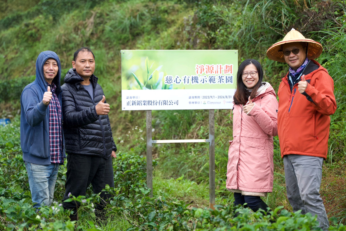 從坪林茶出發，展望有機島！慈心淨源計畫 18 年有成