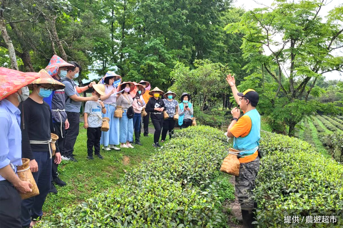 里仁響應「永續農遊」計畫，邀您到有機農場，邊玩邊守護大地