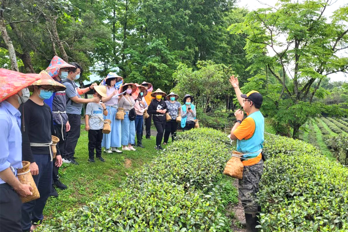 里仁響應「永續農遊」計畫,邀您到有機農場,邊玩邊守護大地