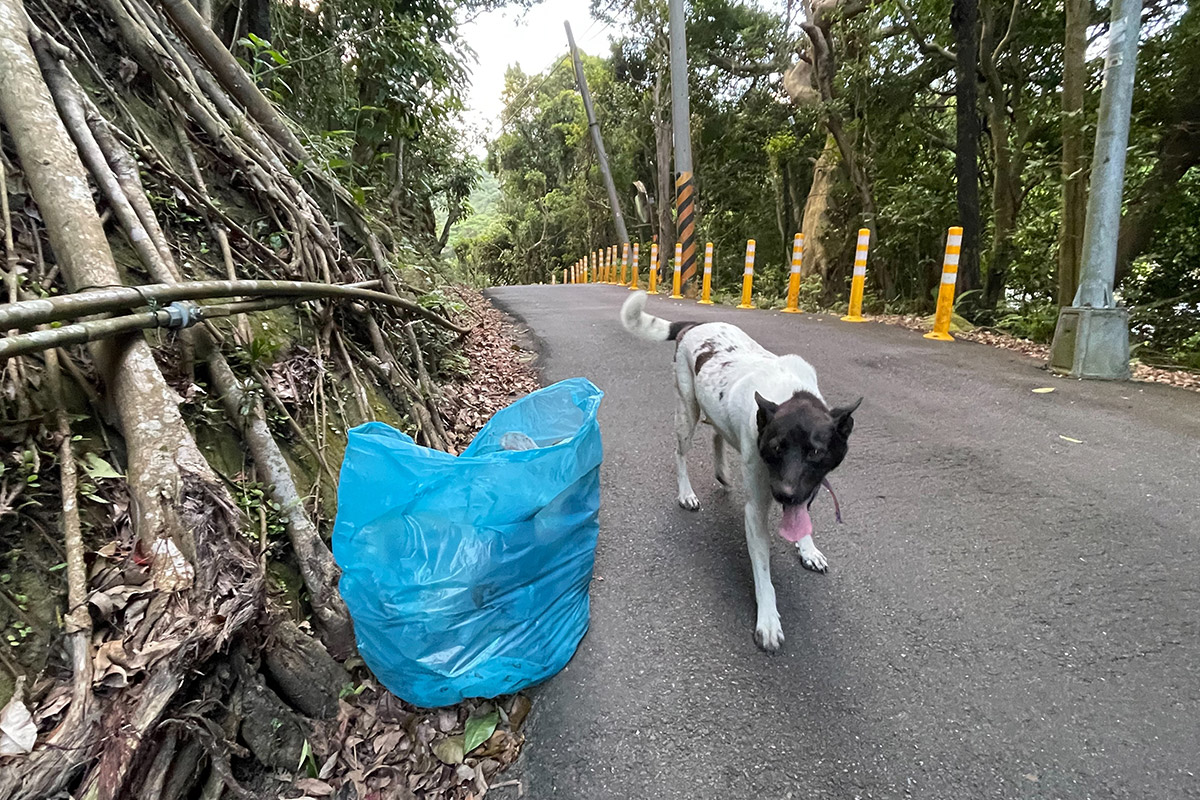 沒塑就來!慈心「bb 減塑大集合」帶動全球淨灘淨街護地球