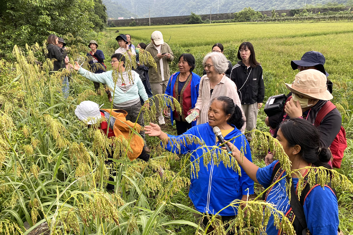 慈心與卓清村布農族的里山經驗，登上聯合國生物多樣性公約報告