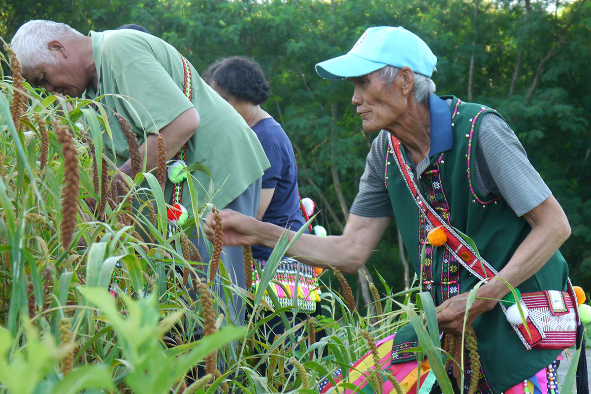里仁連續三年支持「小米進校園」,串起原鄉保種與文化教育