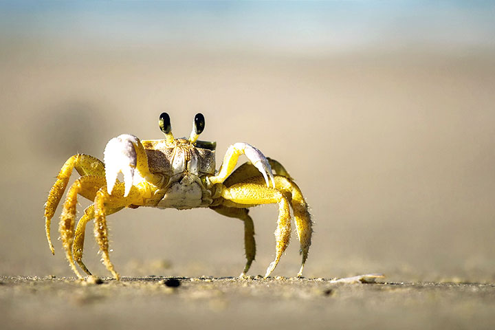 放假，讓我們淨灘去