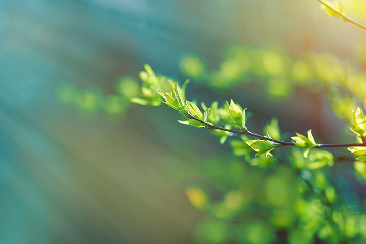 《廣論》拯救我婚姻