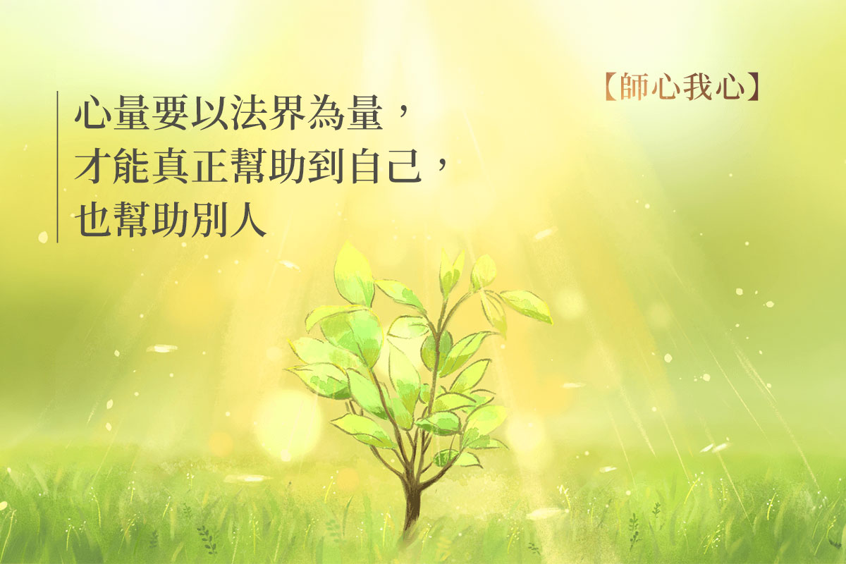 雜草與小樹苗