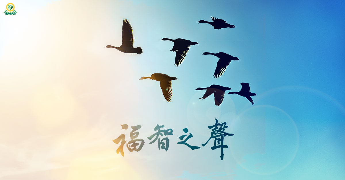 真如苑 歡喜世界 50冊 福智之聲