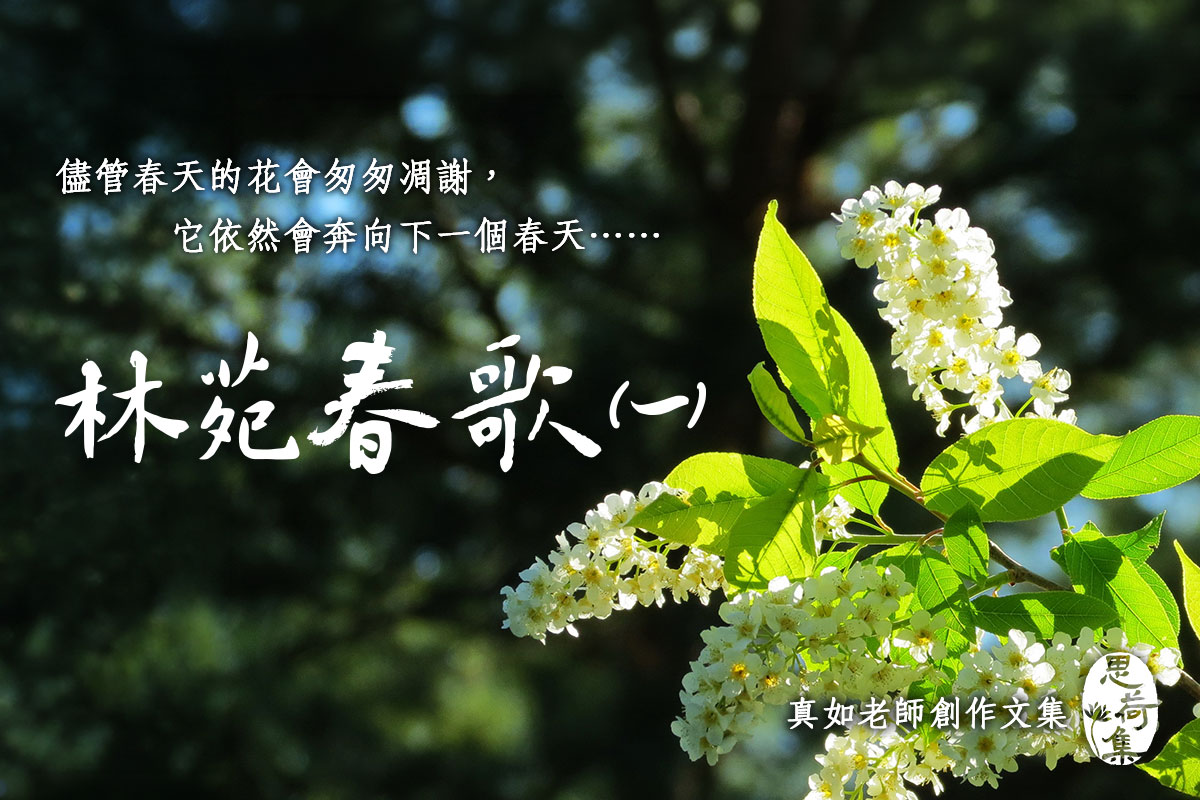 【思荷集】真如老師〈林苑春歌(一)〉感受大自然的生命力！