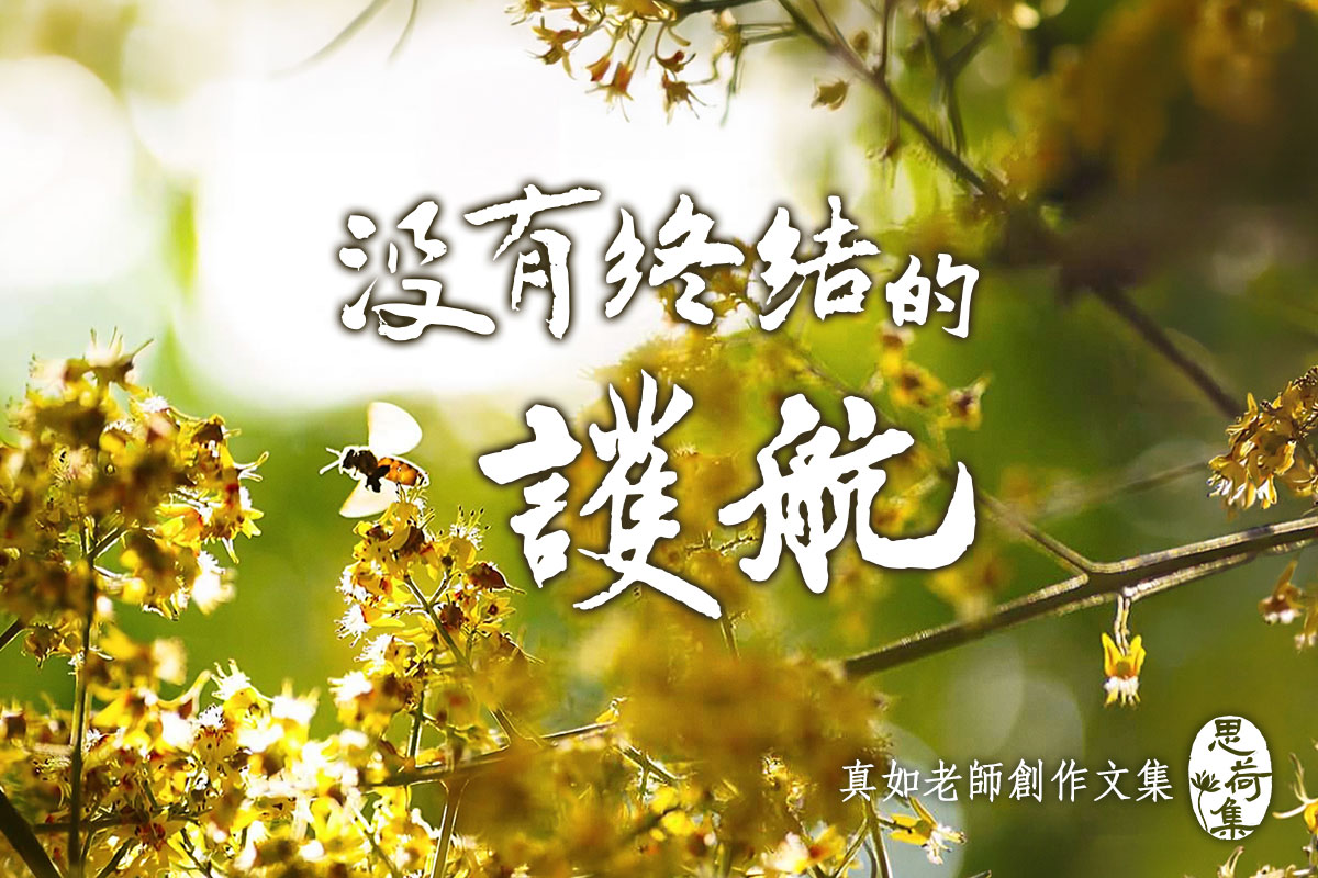 【思荷集】真如老師〈沒有終結的護航〉，生死中最深情的承諾！